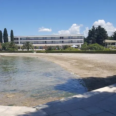 Danica Diklo / Very Close To The Beach Zadar